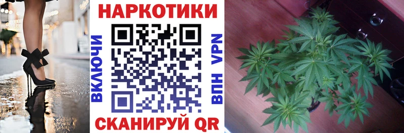 Купить закладку Альфа ПВП  Мефедрон  ГАШ  Канабис  COCAIN  Долгопрудный