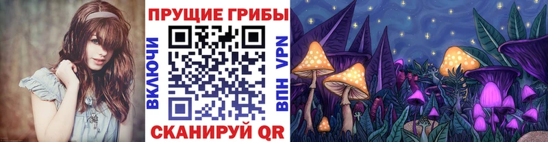 Псилоцибиновые грибы Magic Shrooms Долгопрудный