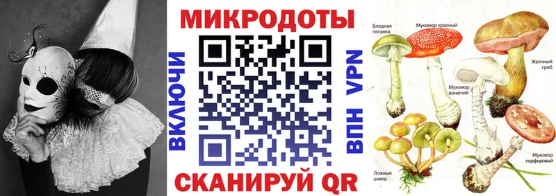Псилоцибиновые грибы мицелий  Купить закладки  Долгопрудный 